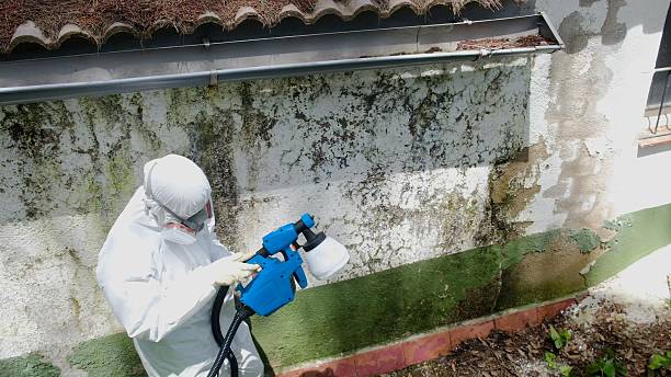 Mold Remediation service in Hainesport, Hainesport, NJ